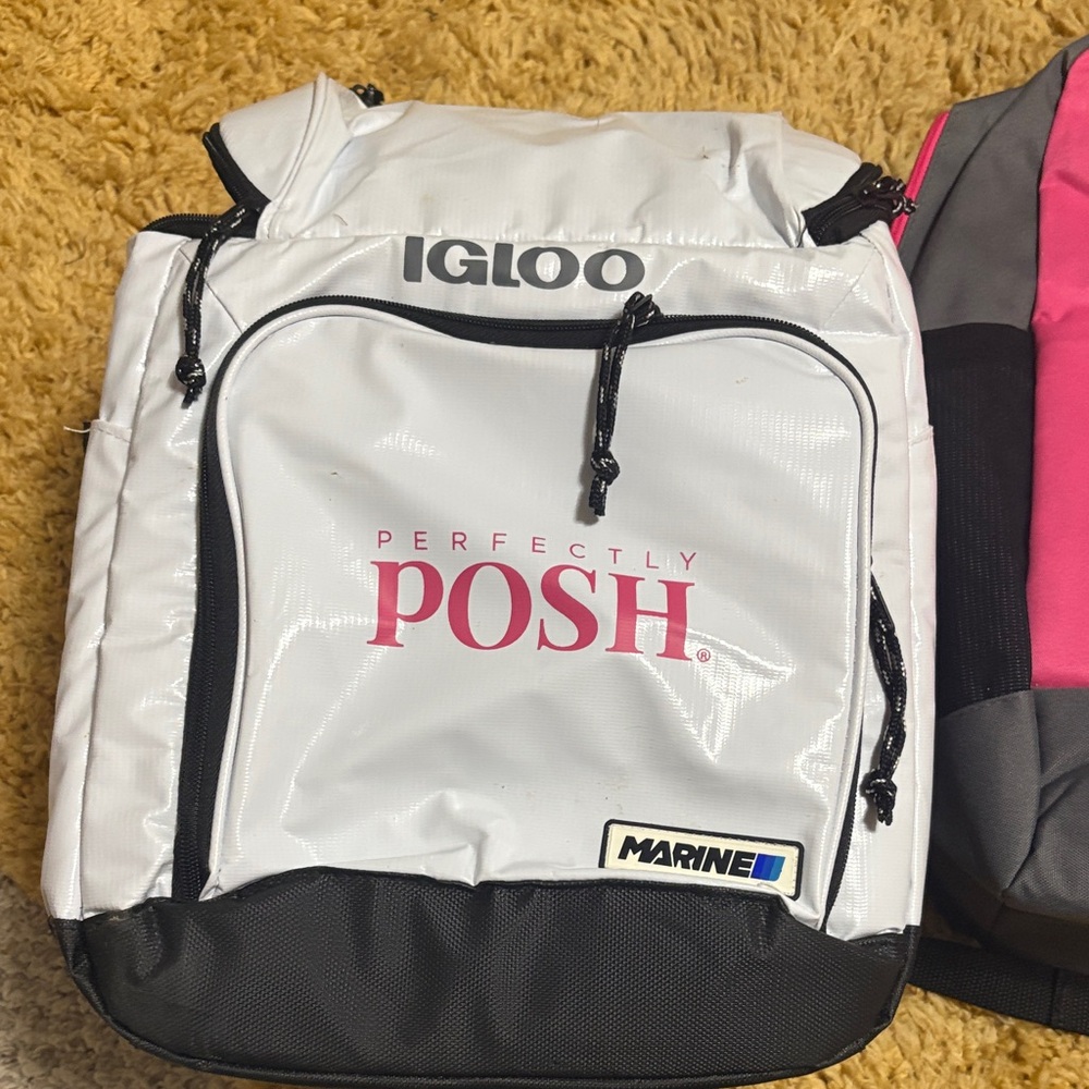 Igloo White and Black Backpack with Pink Accents